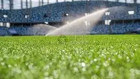 万博manbetx体育平台